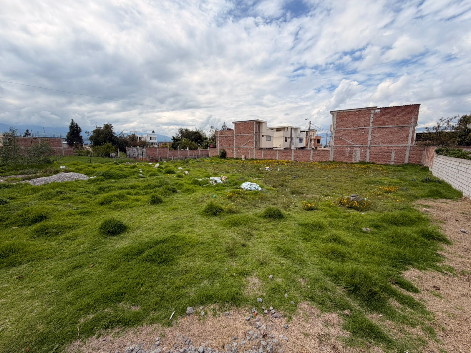 TERRENO EN EL FLORECER