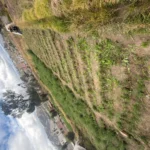 EN CALPI JUSTO EN LA VIA