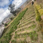 EN CALPI JUSTO EN LA VIA