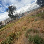EN CALPI JUSTO EN LA VIA