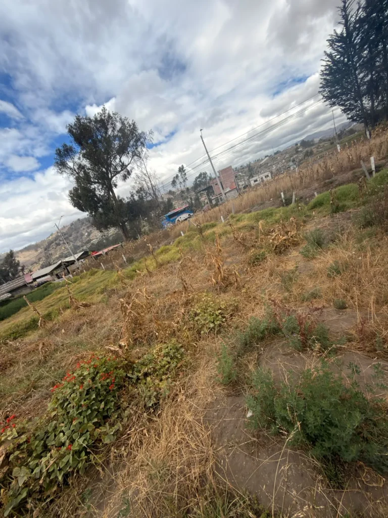 EN CALPI JUSTO EN LA VIA