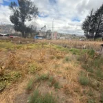 EN CALPI JUSTO EN LA VIA