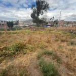 EN CALPI JUSTO EN LA VIA